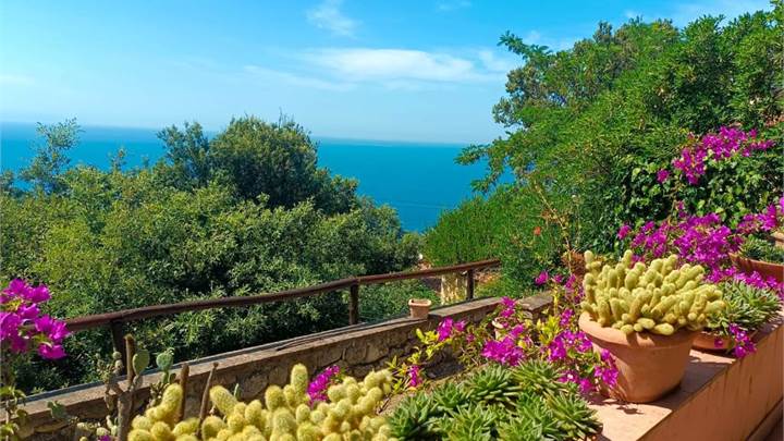 ISOLA D'ELBA - POSIZIONE UNICA - VILLETTA INDIPENDENTE