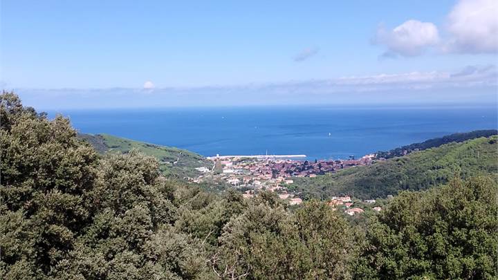 ISOLA D'ELBA - POGGIO - IN BIFAMILIARE